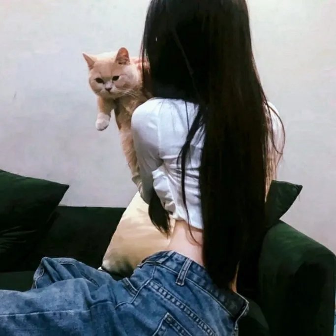 诡探前传粤语 在线观看